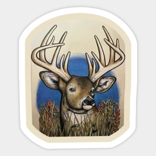 Whitetail Sticker